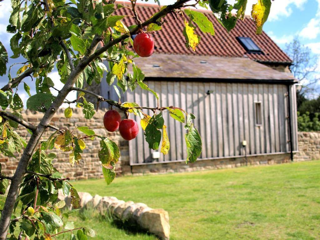 Plum Tree Cottage Witton le Wear Экстерьер фото